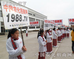 �l(f��)չ�����������r(n��ng)���Ԍ�(sh��)���Ƅ�