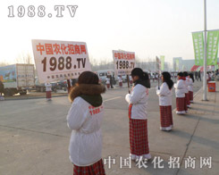 �r(n��ng)���W(w��ng)�����·f��(chu��ng)�������͏�(qi��ng)��Č�(sh��)��