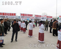 2013�ӱ�ֲ����(hu��)���r(n��ng)���W(w��ng)�������_(t��i)�A