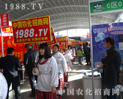 ��ʮ�����(y��ng)���ϕ�(hu��)�ϵ����E