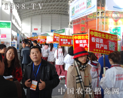 2014���(y��ng)���ϕ�(hu��)�ϵ������ܿ옷��