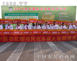 ��ʮ����ꖷ����p����(hu��)�Ͽɐ۵���