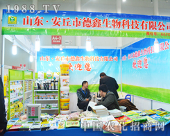 �����������M2014ֲ����