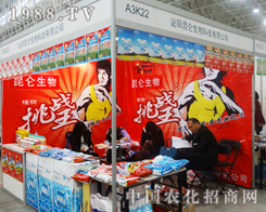 �͑��������������Ƽ�