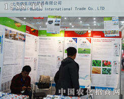 �Ϻ������Q(m��o)�׹�˾�ɹ����ӵ���ʮ��ֲ����(hu��)