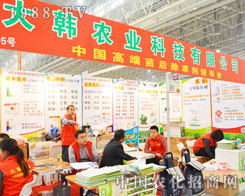 �Ƽ���(chu��ng)�������մ󱊵Ĵ��n�r�I(y��)�Ƽ�