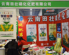 ��������׻����Єӵ�11�����ݷ��ϕ�