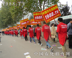 ɽ�|ֲ�������ഺ���҂���(zh��n)����������