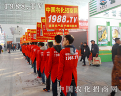 1988.TV�����ˆT�����w�P(y��ng)���������