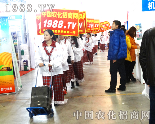 С�����2015�����ֲ�����ܵ��˂���ϲ��