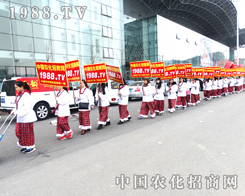 �r(n��ng)�����̾W(w��ng)��(zh��n)ʿ�Y�G��2015�ӱ�ֲ�����ו���