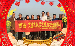 ���Խ�r(n��ng)�I(y��)����ף������������������д��\��