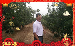 ����������ʘI(y��)��ȫ�w�T����ף���Ͽ͑�����옷�������³���