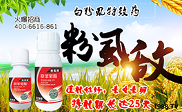 �����˹�r(n��ng)�I(y��)��ף�������w�������f��������