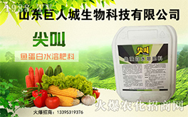 �����˳����ף������µ�һ�������w�����������³����f�����⣡