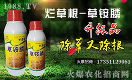 �����K���r(n��ng)��ף������µ�һ���﹤�����������������