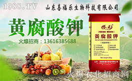 ��ϲ������ף������µ�һ���﹤�����������������