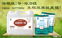 ��Ӣ���W�ʩ��ף���g�gϲϲӭ�i�꣬�f������ƽ������