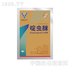 ���h����5%��x��WP