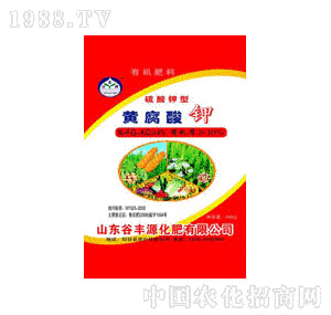 ���SԴ-�ЙC�o�C��Ϸ�