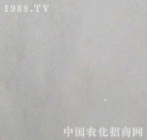 ����-�˰���