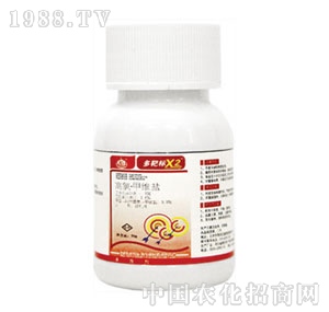 �б�-��И�X2