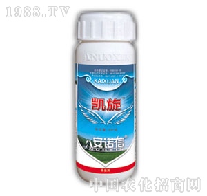 �����r(n��ng)��-�P��