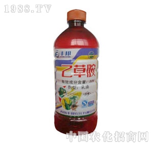 ���u�S��-�Ҳݰ�