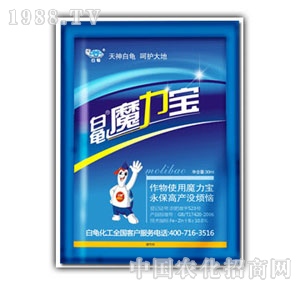 ����-ħ����