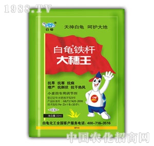 ����-�F�U������