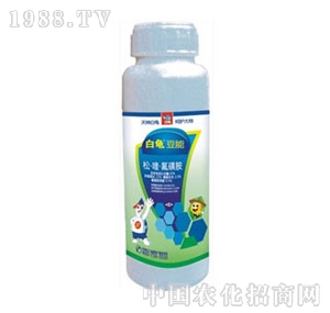 ����-����