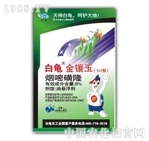 ����-�����