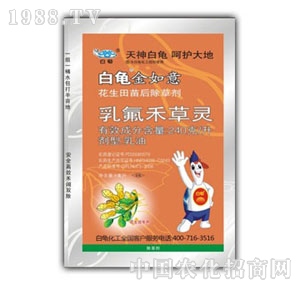 ����-������