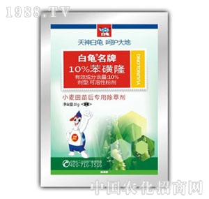 ��������¡