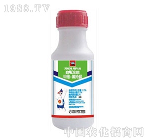 ����-ȫ��