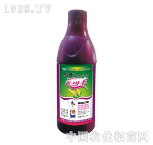 ����-�G���S