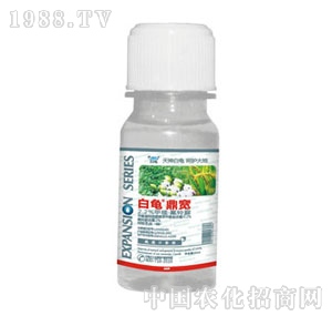 ����-����