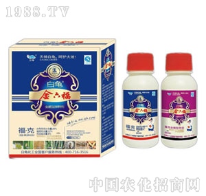 ����-������