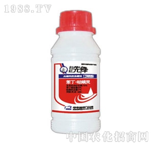 �A�S���r(n��ng)-�߼t���h