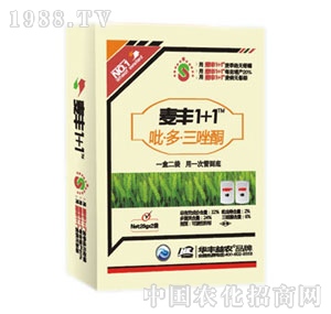 �A�S���r-���S1+1