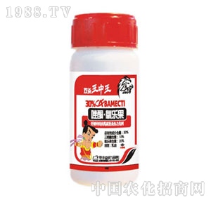 �A�S���r-�p��������