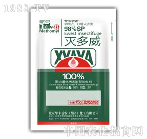 �A�S���r-98%�����