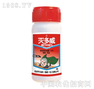 �A�S���r-20%�����