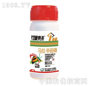 �A�S���r-Ӳ�����R��������