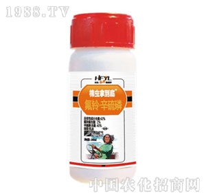 �A�S���r-�õ��׷��������