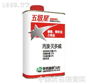 �A�S���r-���Ǽ���������