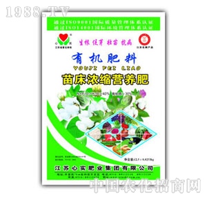 �Č�-�洲��s�I�B(y��ng)��