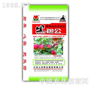 �Č�-�ڰ��������ЙC��