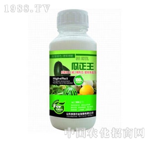 �W�P-������