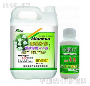 �W�P-����(j��)����